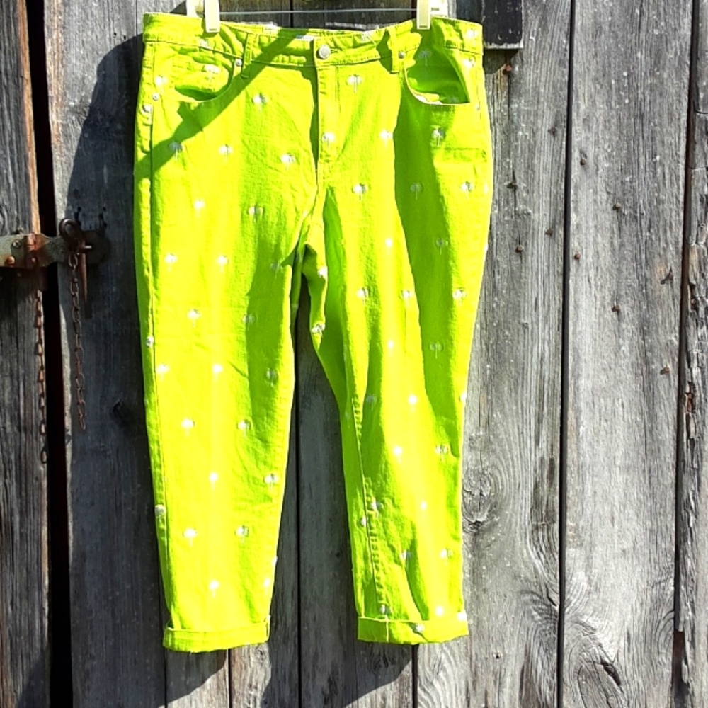 Crown & Ivy pants